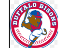 Bisons Game